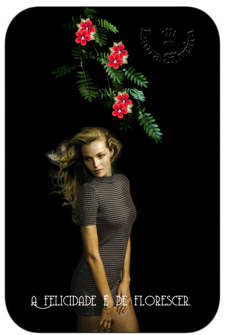 laura-264835670e61be.png