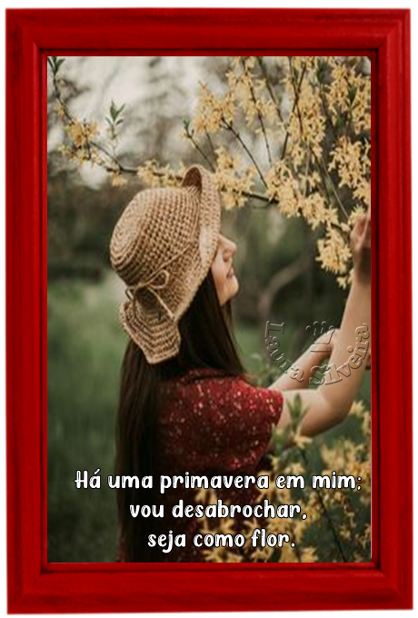 laura-264848e77a23a8.png