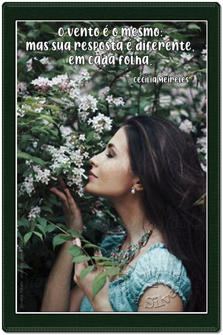 laura-264b2dd3ef28b8.png