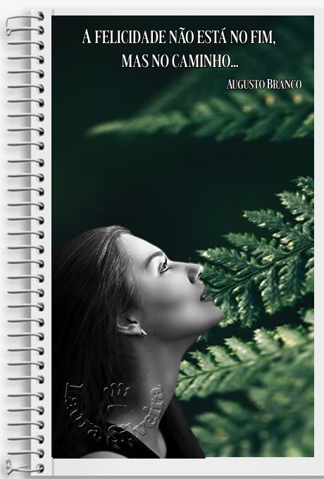 laura-2658816771a25a.png