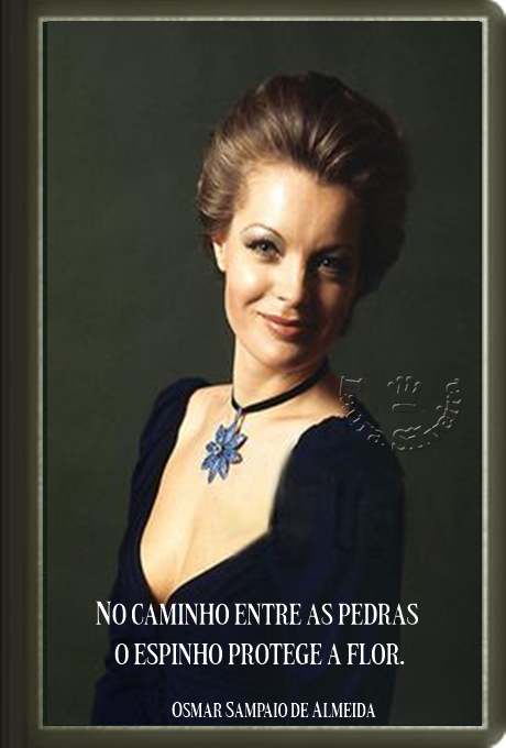 laura-2658b086f17497.png