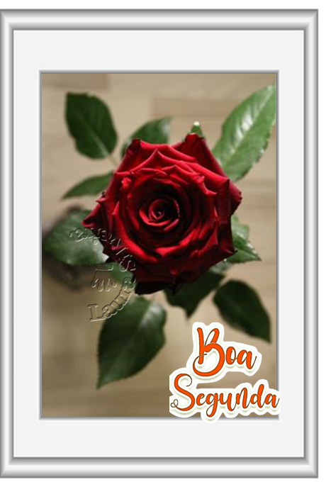 laura-265a537984fb35.png