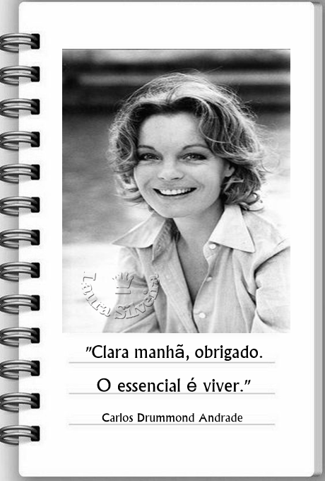 laura-265ae30562b2c9.png
