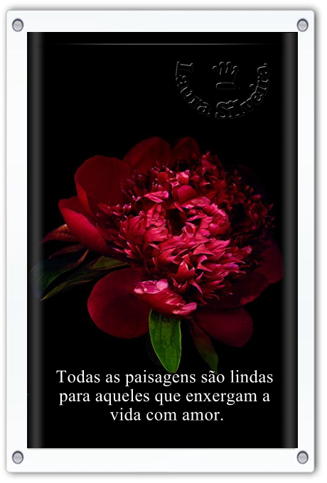 laura-265f5d199bf280.png