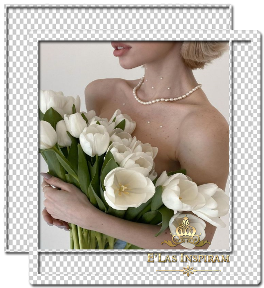 luzvid6227f54d4a8d5.png